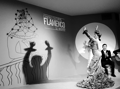 Centro Cultural Flamenco-马德里必去景点