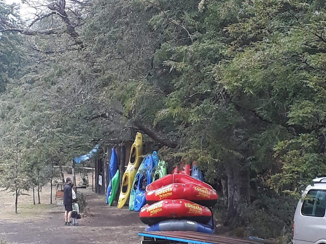 Conecta Patagonia-Panguipulli必去景点