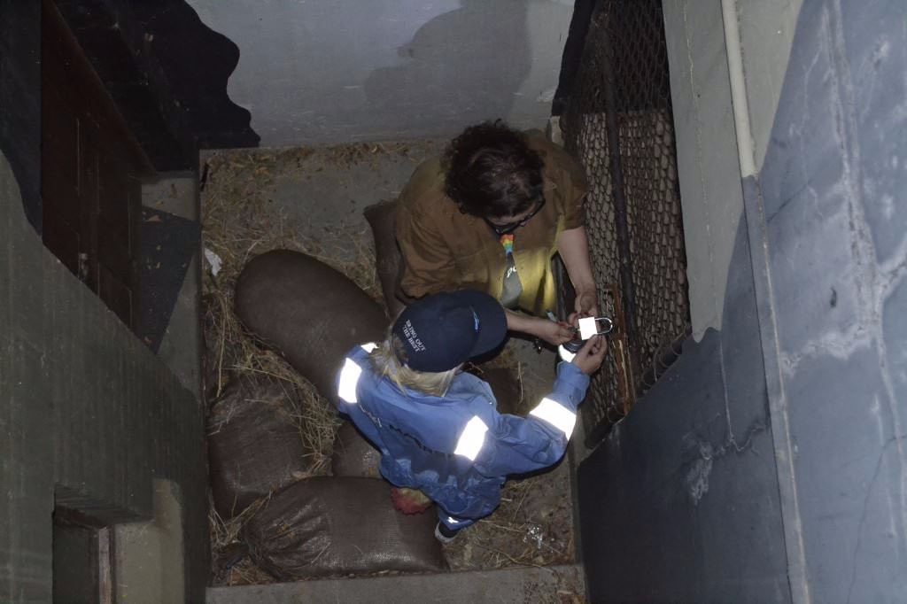 Good Hope Adventures-开普敦中心区必去景点