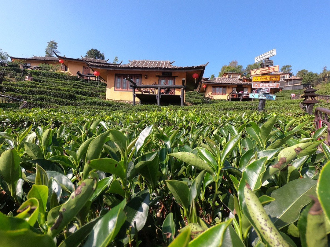 Lee Wine Ruk Thai Resort主图