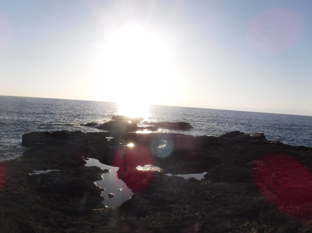 Kurosakinohana-三浦市必去景点