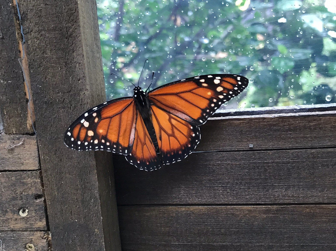 Hostal Moebius主图