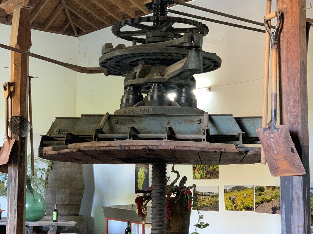 Bodega San Juan - Museo del Vino景点图片