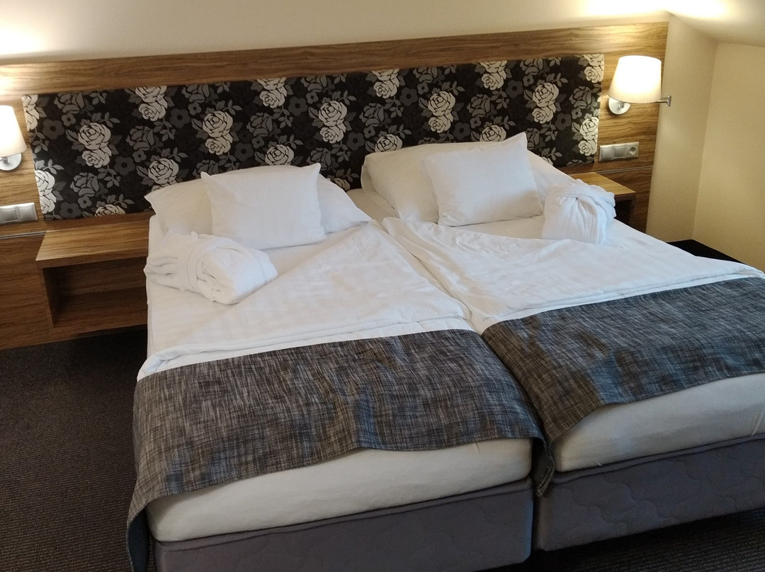 Bodrogi Kuria Wellness Hotel主图