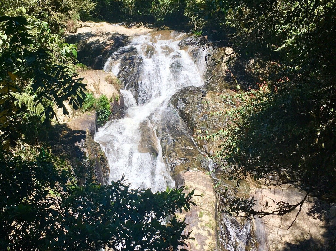 Robinson Falls景点图片