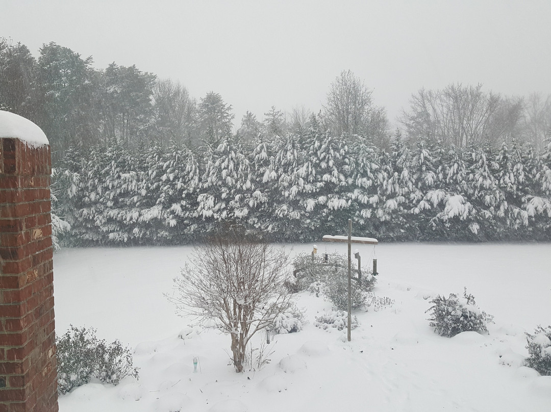 Seven Oaks Bed & Breakfast主图