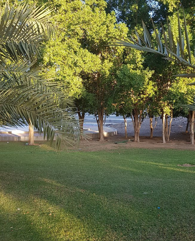 Wadi Kitnah Pools景点图片