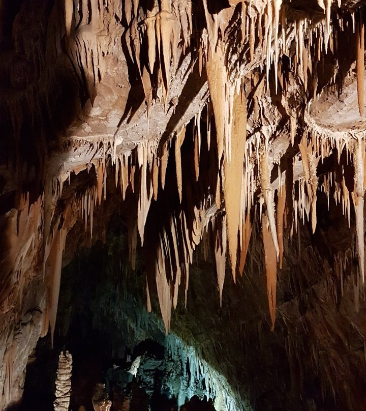 Grotta Torri di Slivia - Tour-Duino Aurisina必去景点