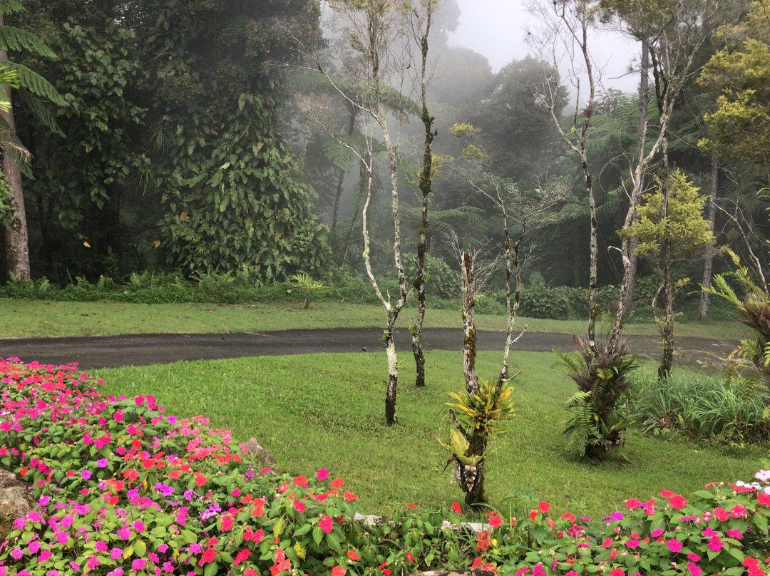 婆罗洲高原度假村主图