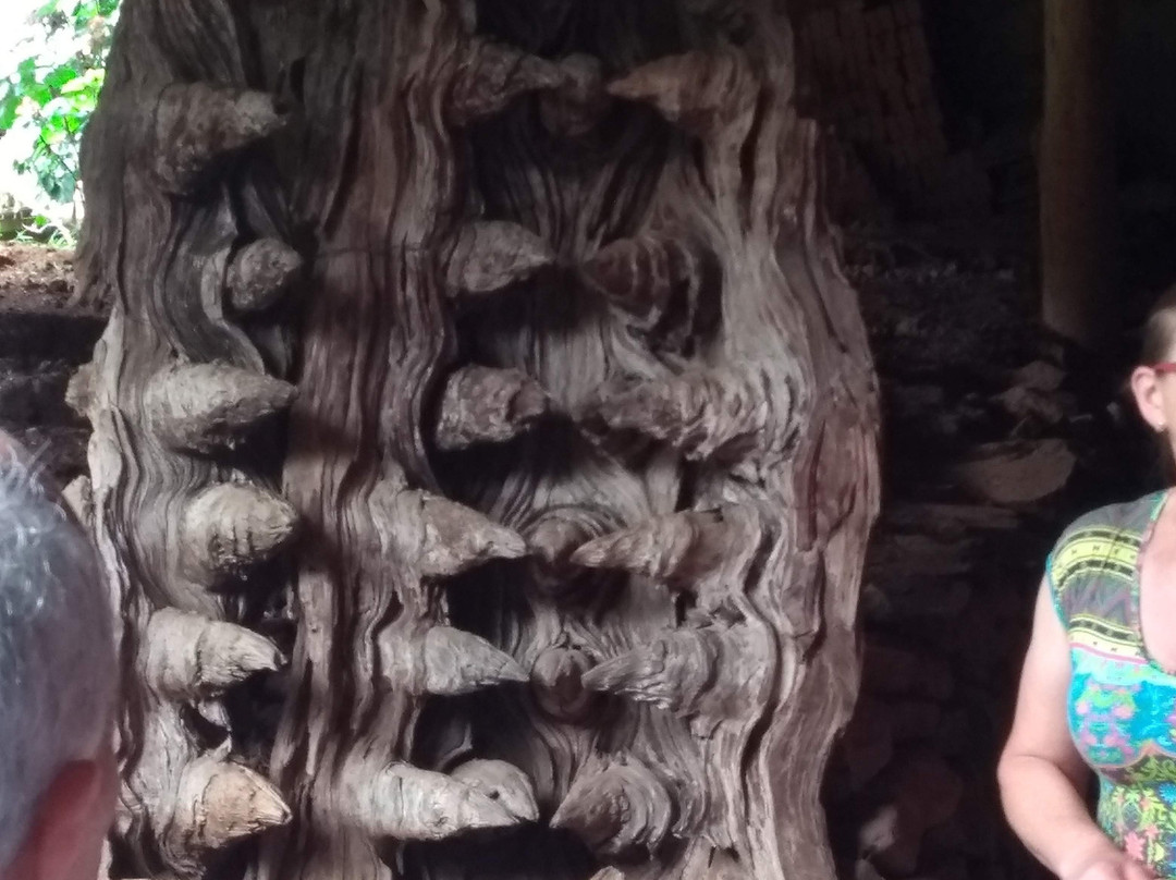 Ervateira Marcon - Natural de Gramado-格拉玛多必去景点