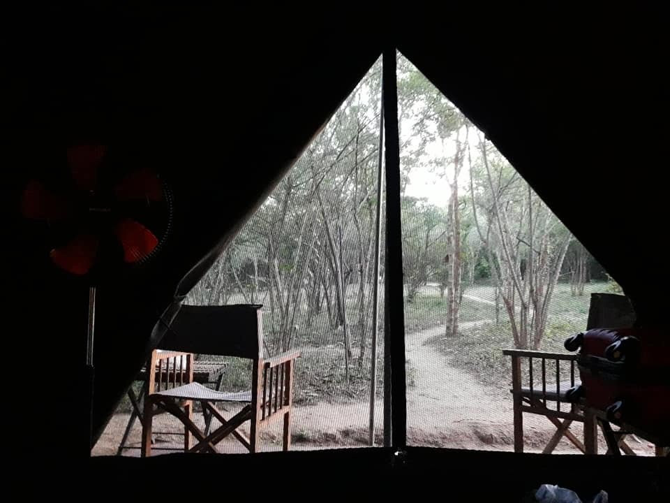 Mahoora Tented Safari Camp Udawalawe主图