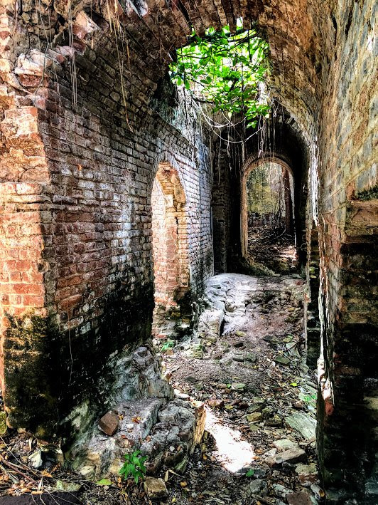 Vieques Conservation and Historical Trust景点图片