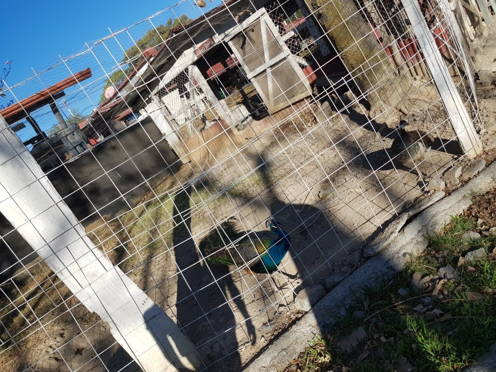 Sabanas酒店住宿-Hotel Hacienda El Rodeo