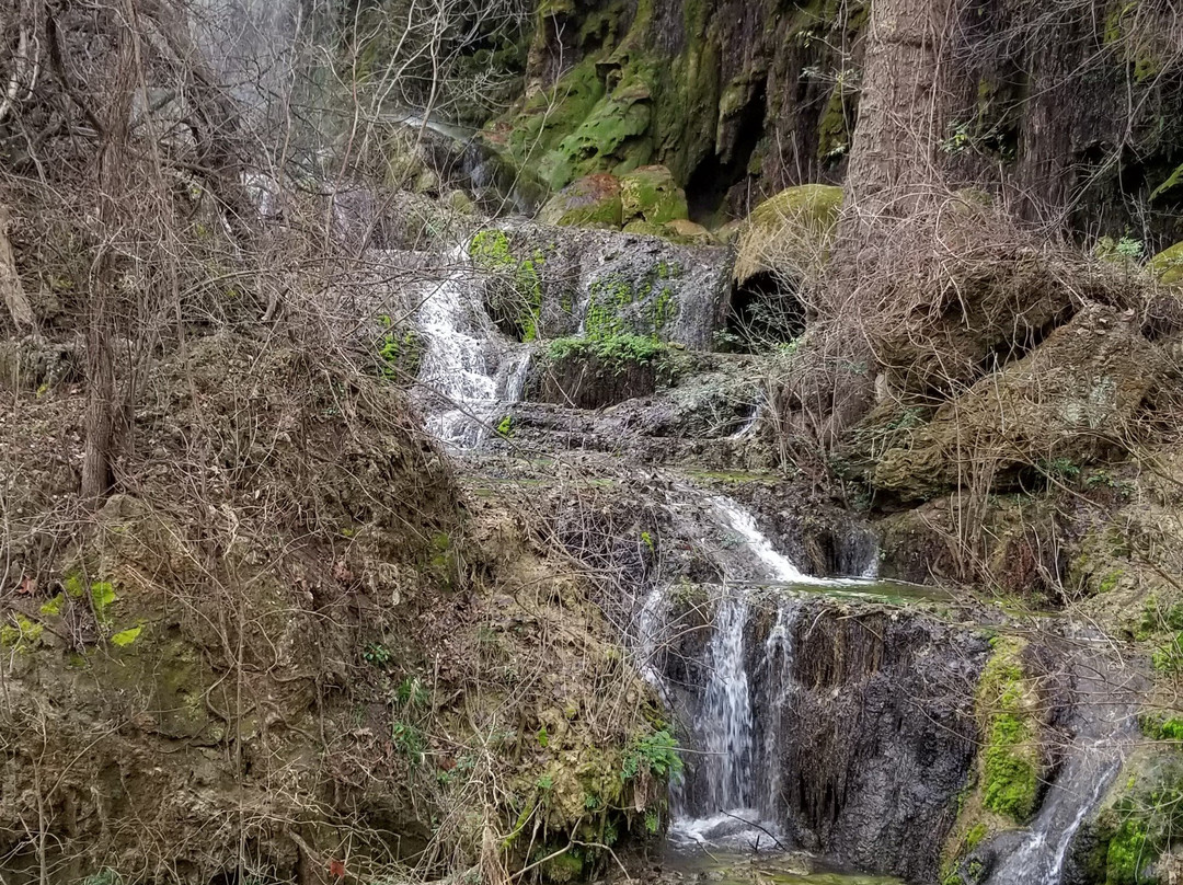 Colorado Bend State Park景点图片