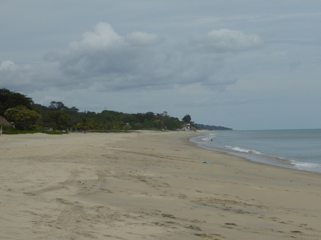 La Perla de Farallon主图