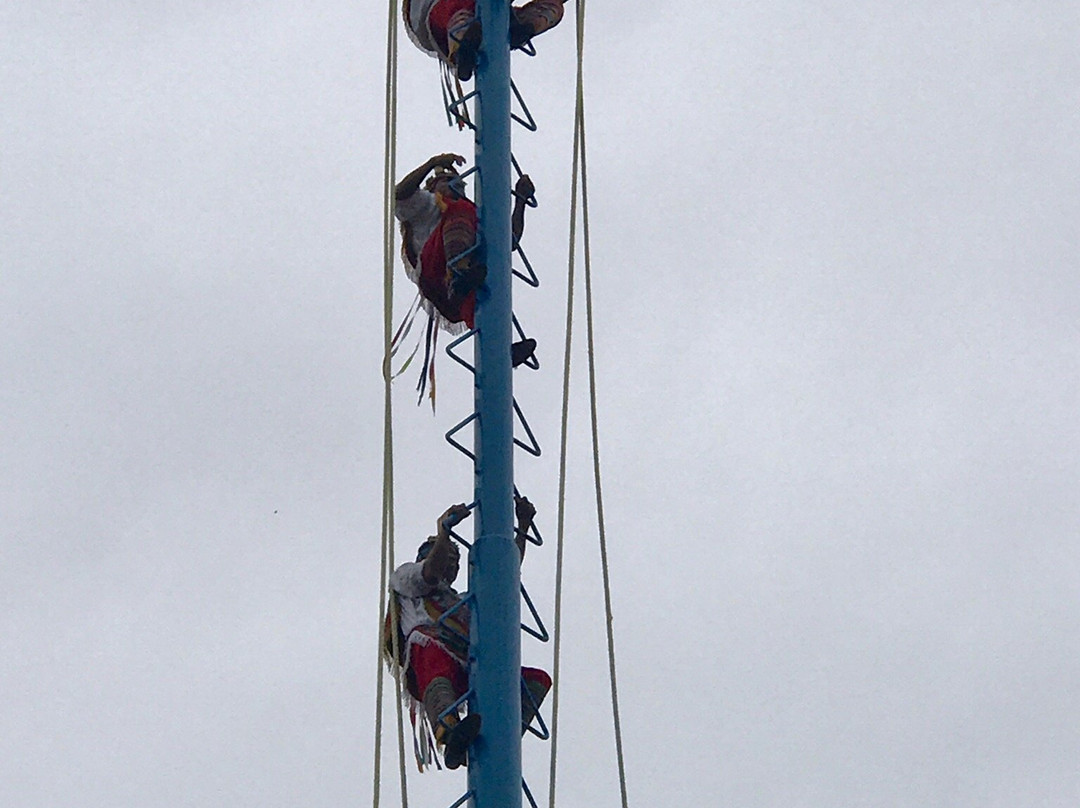 Los Voladores of Papantla-韦拉克鲁斯必去景点