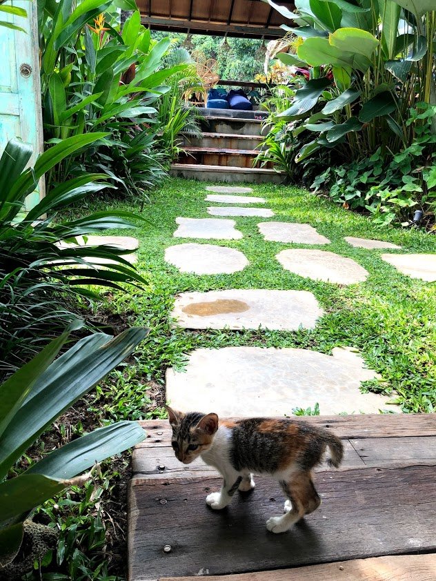 Seaside Tribe - Boutique Surf Stay & Retreat-酒店景观