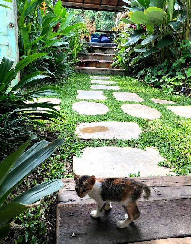 Seaside Tribe - Boutique Surf Stay & Retreat主图