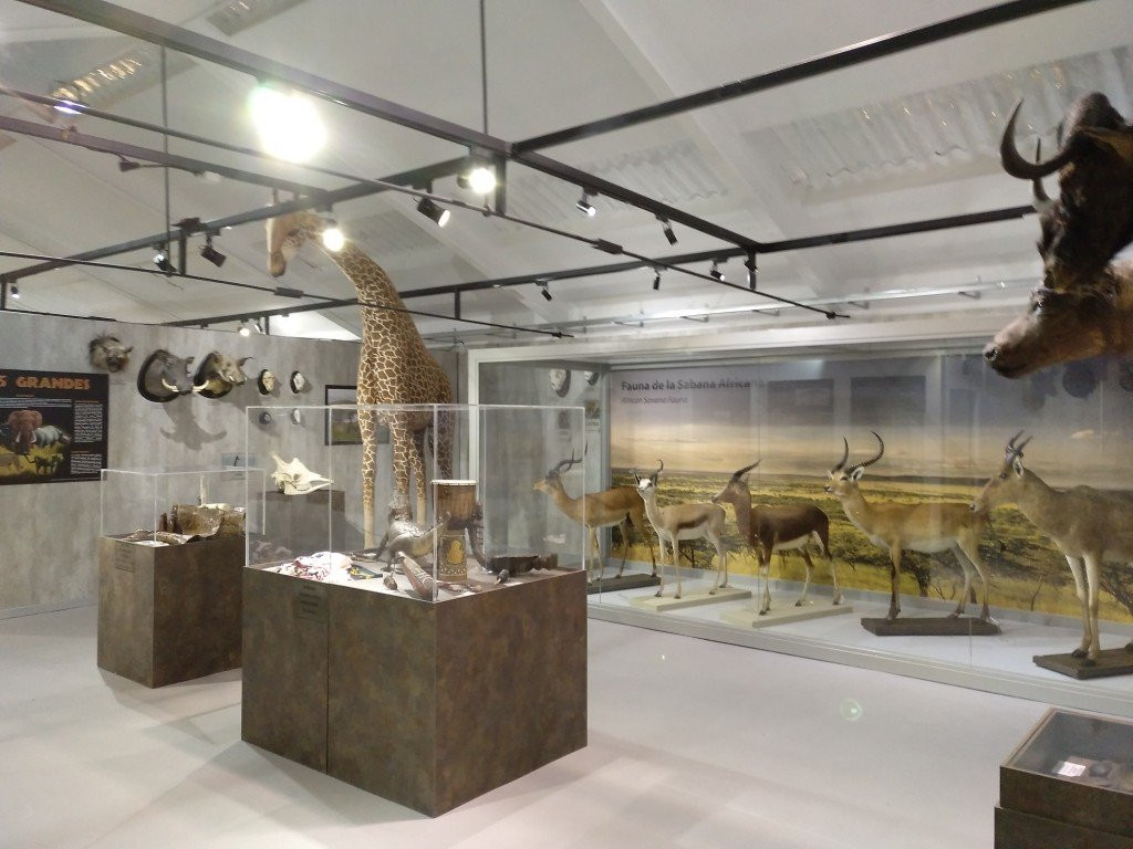 Museo de la Biodiversidad景点图片