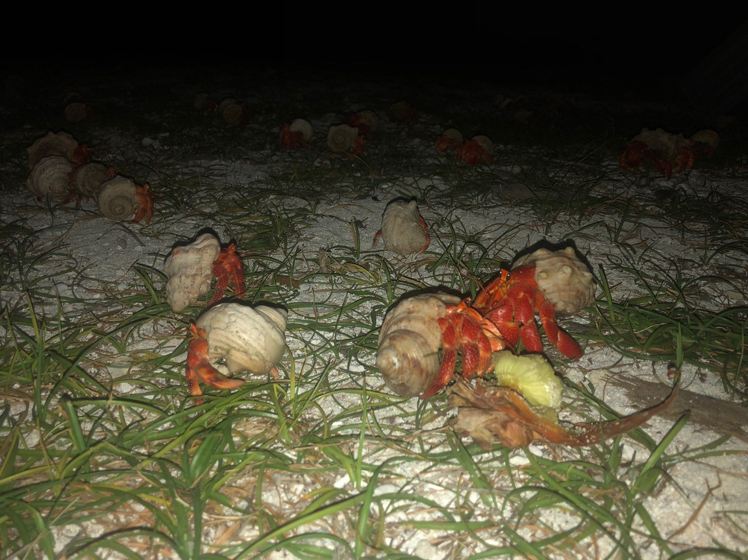 Cocos Seaview Apartments主图