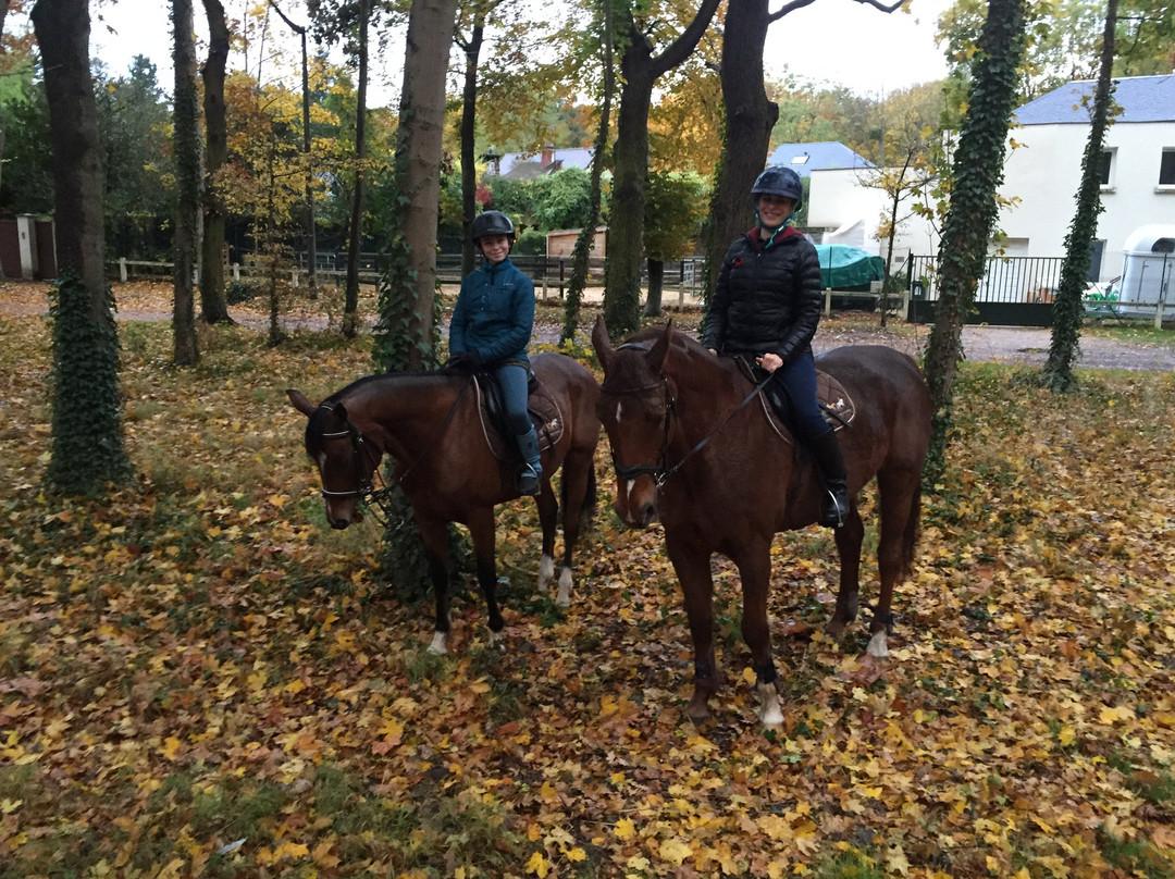 Horse Holidays France景点图片