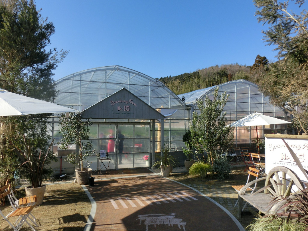 Strawberry Farm No.15 by The Farm Universal Osaka-茨木市必去景点