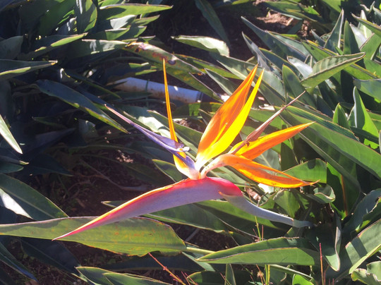 Out Of The Box Tours-古巴圣地亚哥必去景点