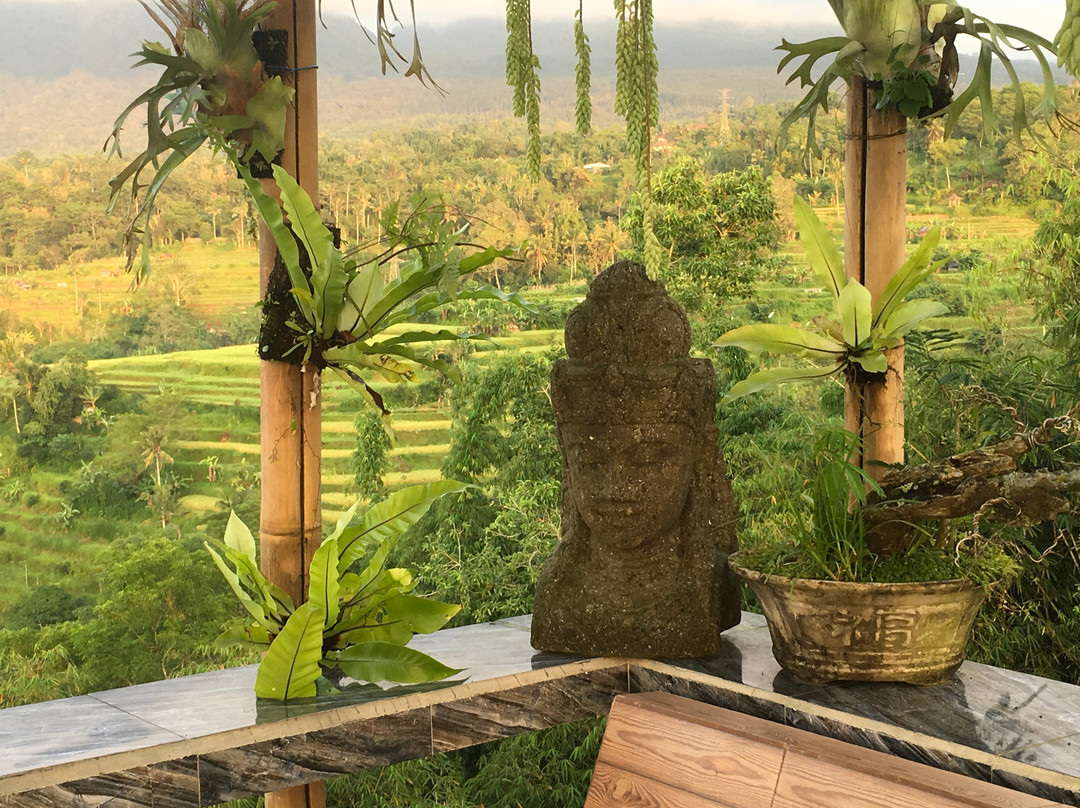 Pondok Nyoman Bedugul by Agata主图