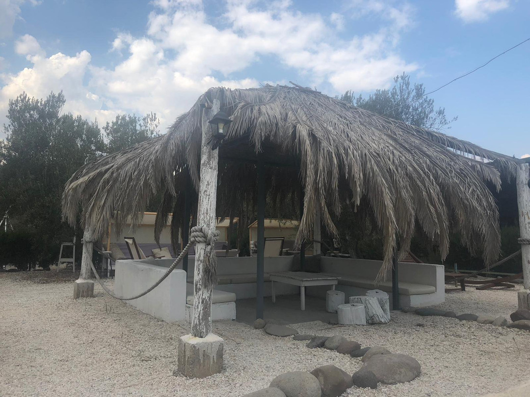 Assos Club Beyaz主图