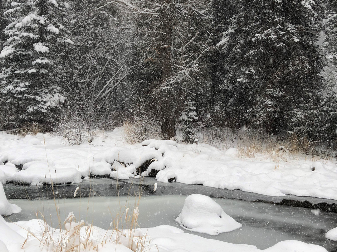 O-Bar-O Cabins主图