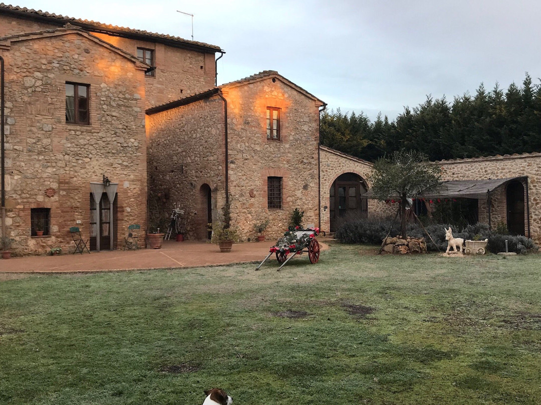 Casale Il Colombaio Di Toiano主图