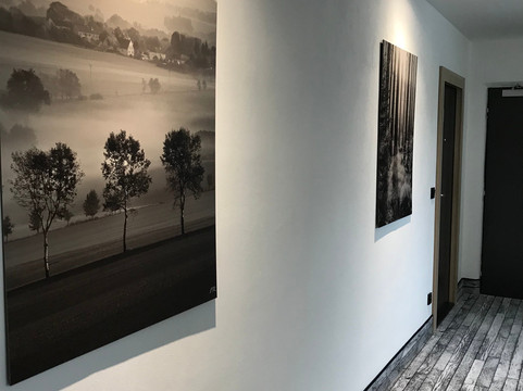 OREA Resort Horizont Sumava主图