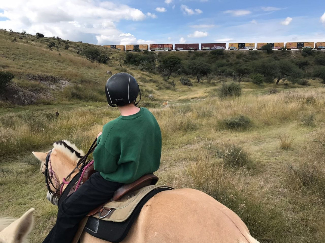 Granja Las Animas-圣米格尔护城必去景点