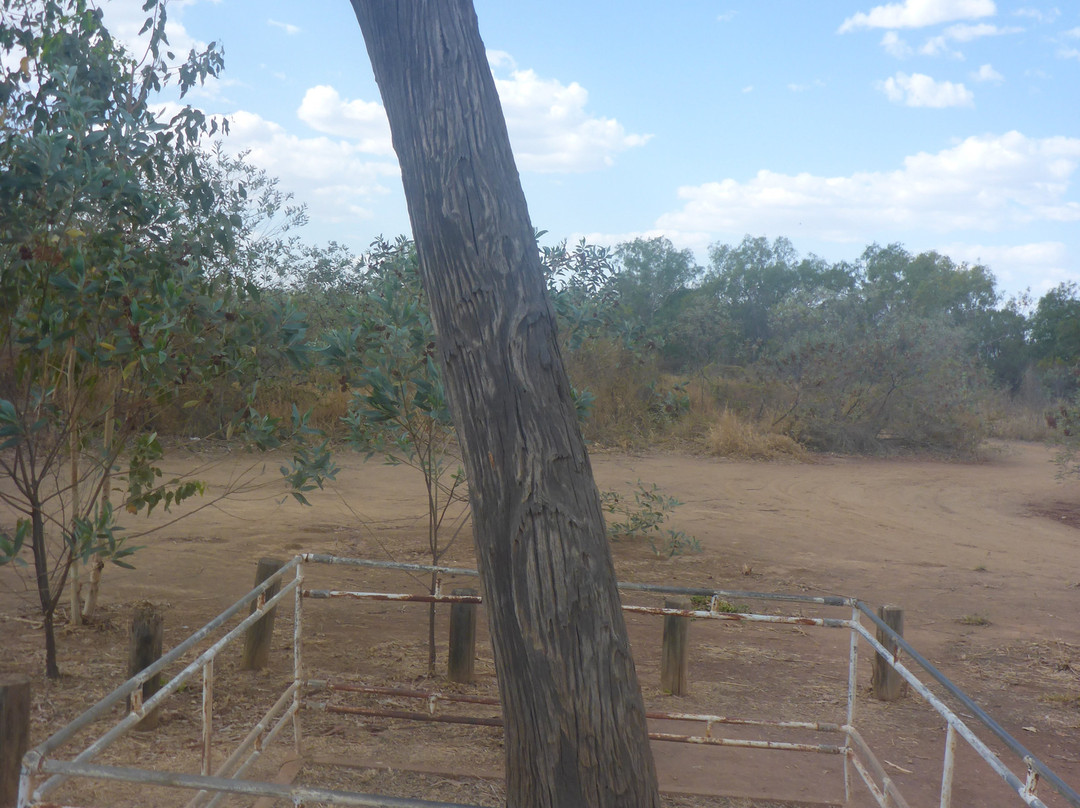 Stuart Tree Historic Site
