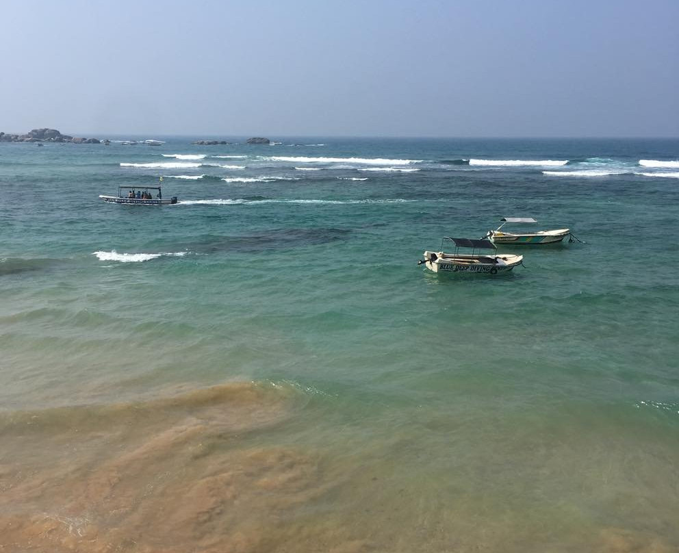 阿马亚礁石酒店主图