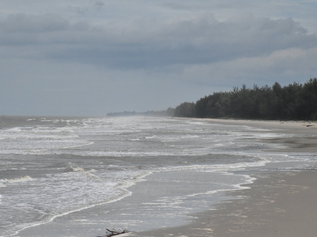 Pantai Seri Kenangan景点图片