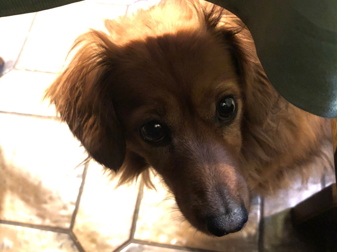 Rieger Landgasthof主图