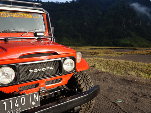 TrippyTrip Tour-泗水必去景点