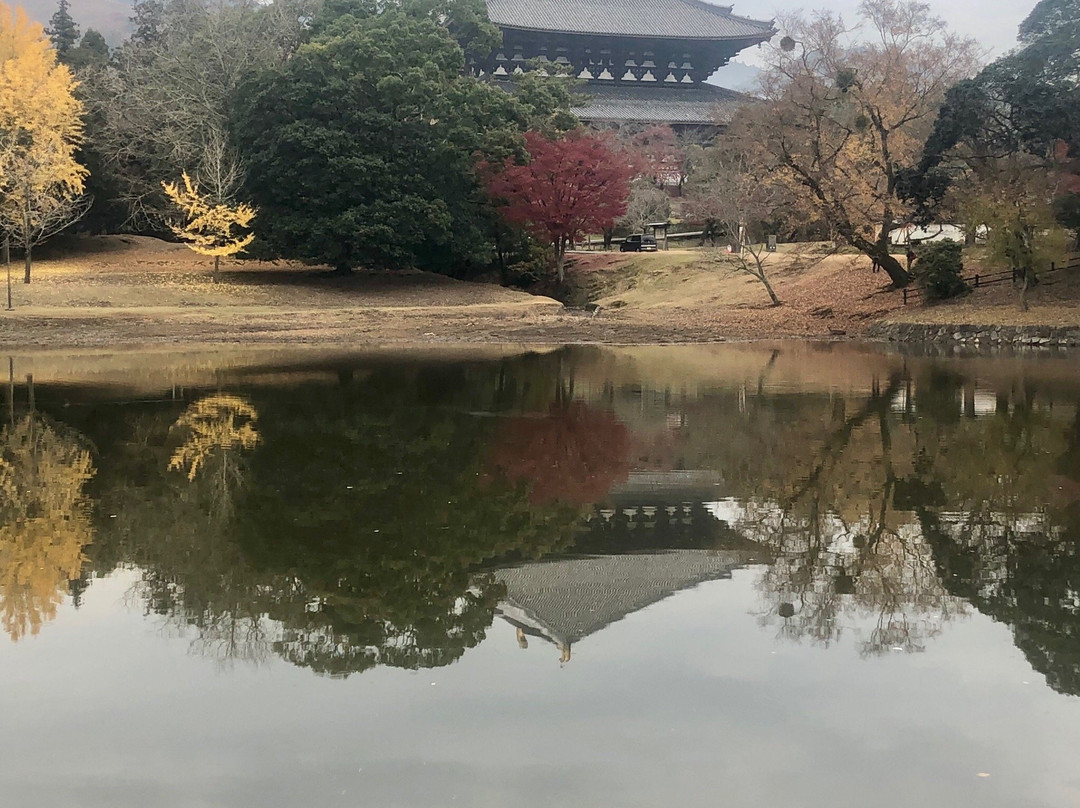 Daibutsu Pond景点图片