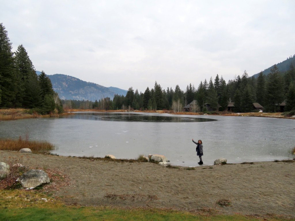 Freestone Inn & Cabins主图