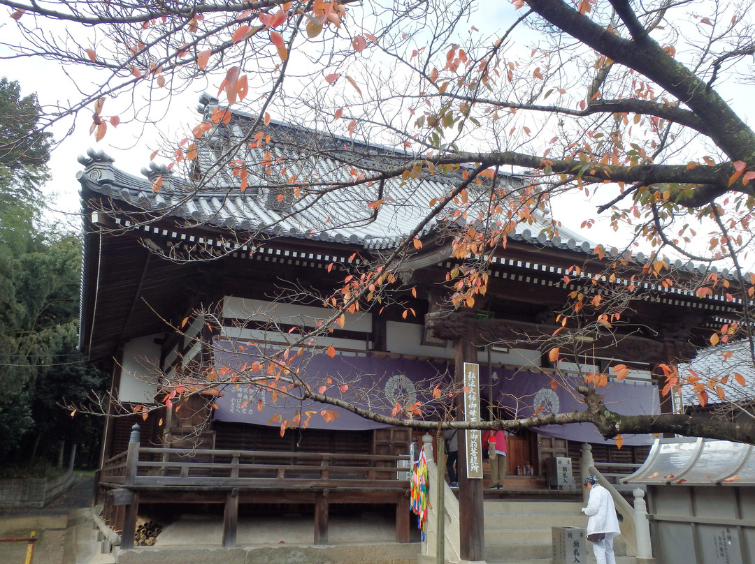 Mandara-ji Temple景点图片