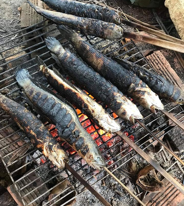 NewStar Travel-芹苴必去景点