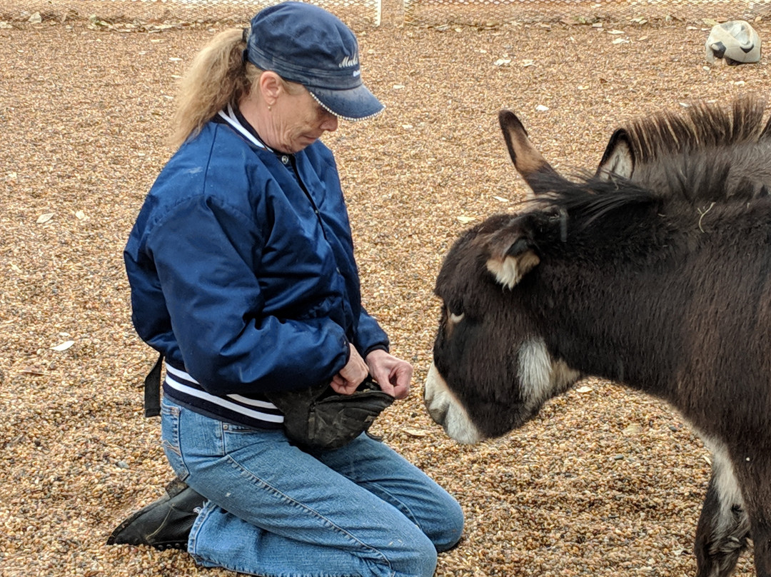 Lucky Three Ranch-拉夫兰必去景点