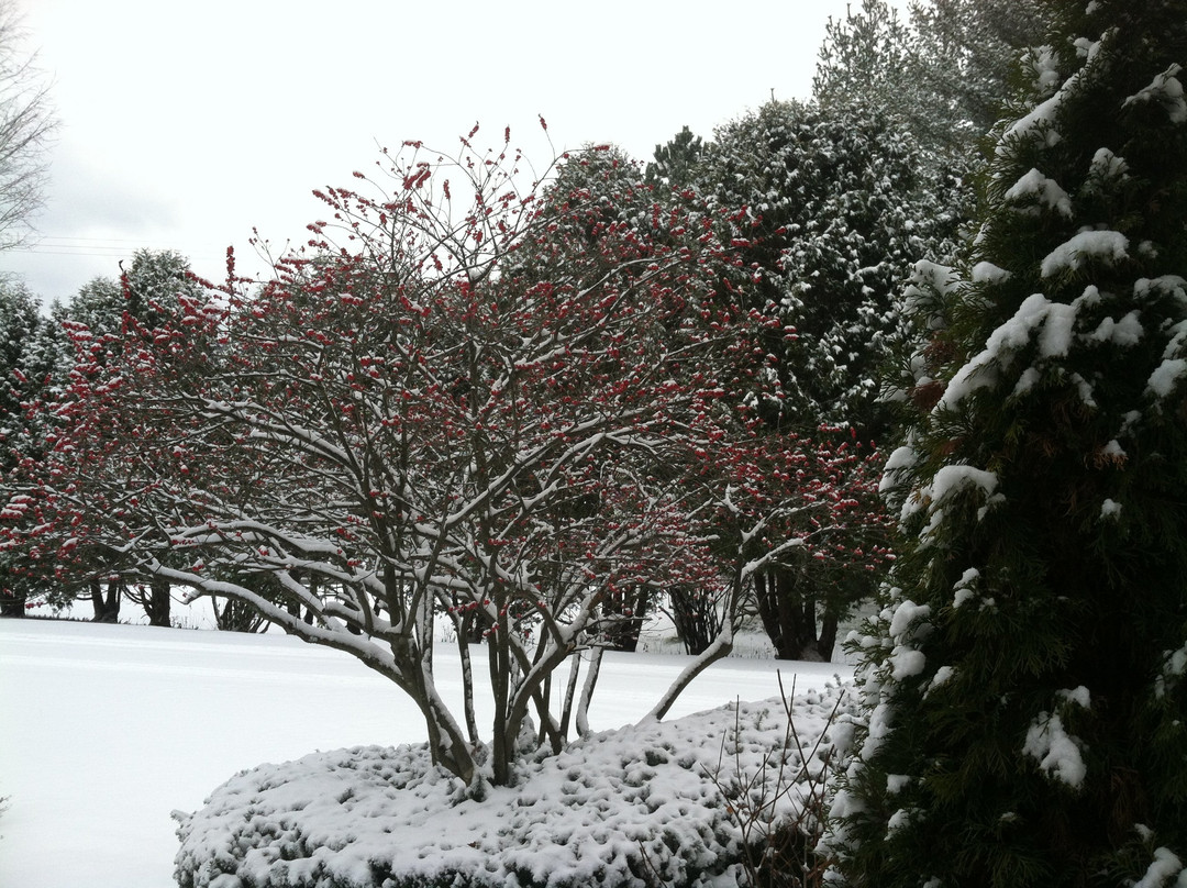 Hydeville酒店住宿-Antique Mansion B&B