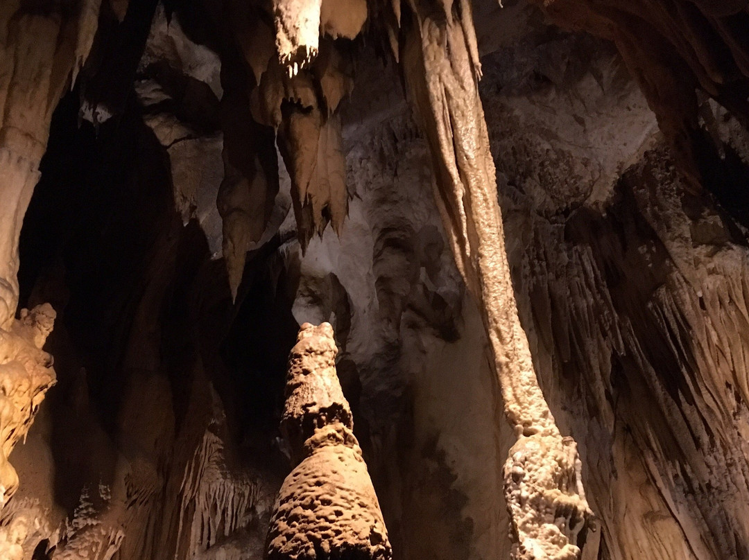 Grottes d'Isturitz & Oxocelhaya景点图片
