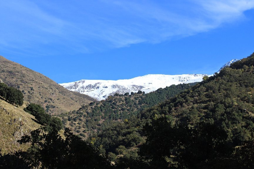 La Vereda de la Estrella景点图片