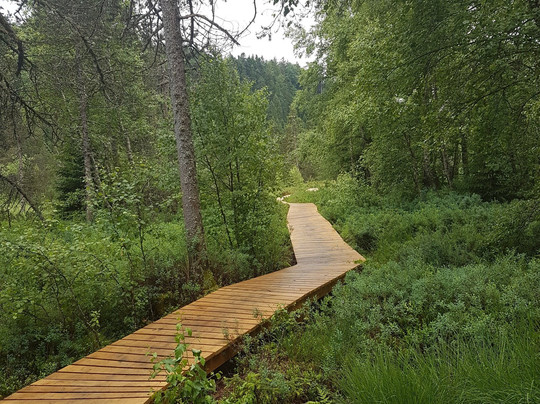 La tourbiére de Prénovel-Prenovel必去景点