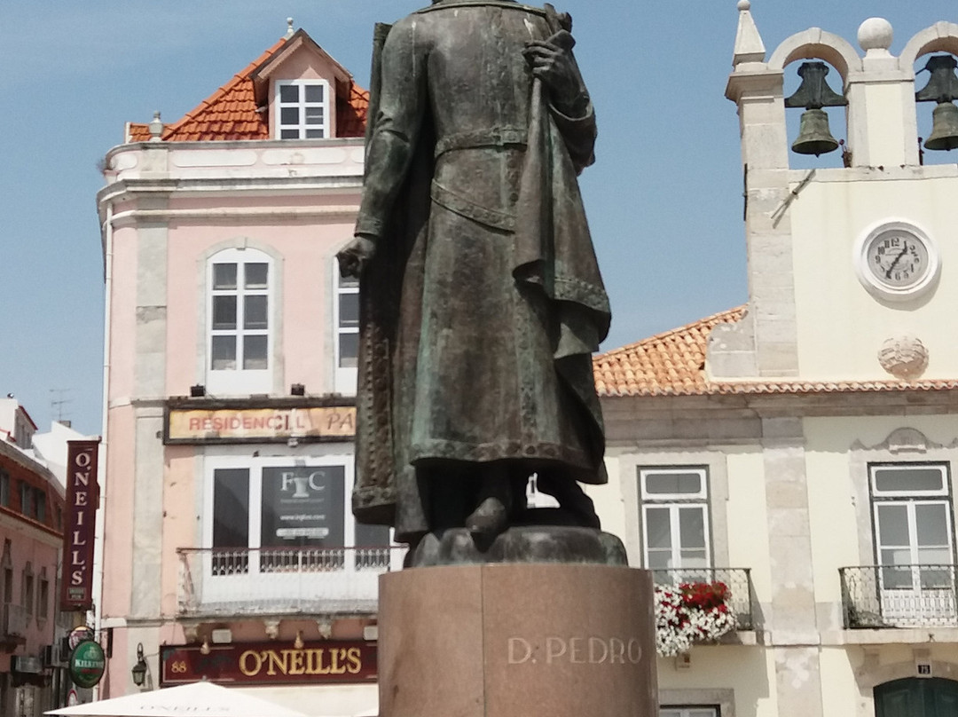 Estatua de D.Pedro I景点图片