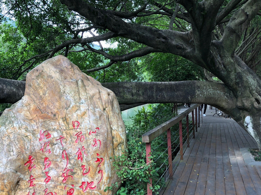 旗峰公园-东莞市必去景点