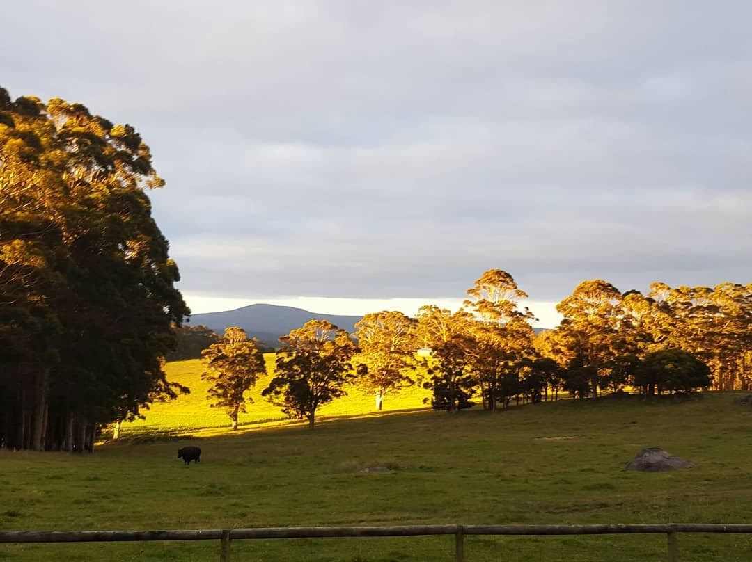 The Grange on Shadforth主图